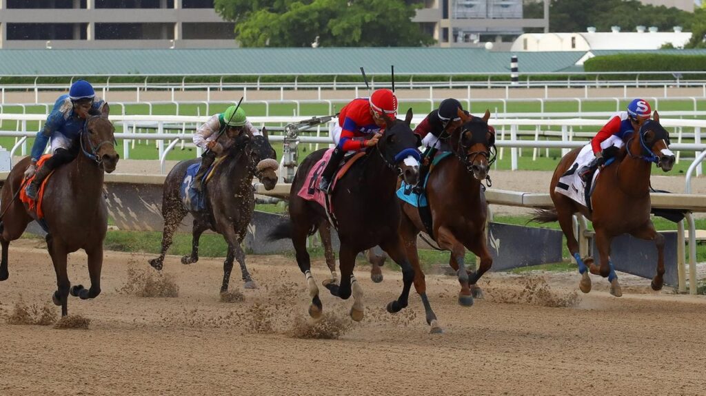 Para el Lima Horse (Foto Video Hipico)